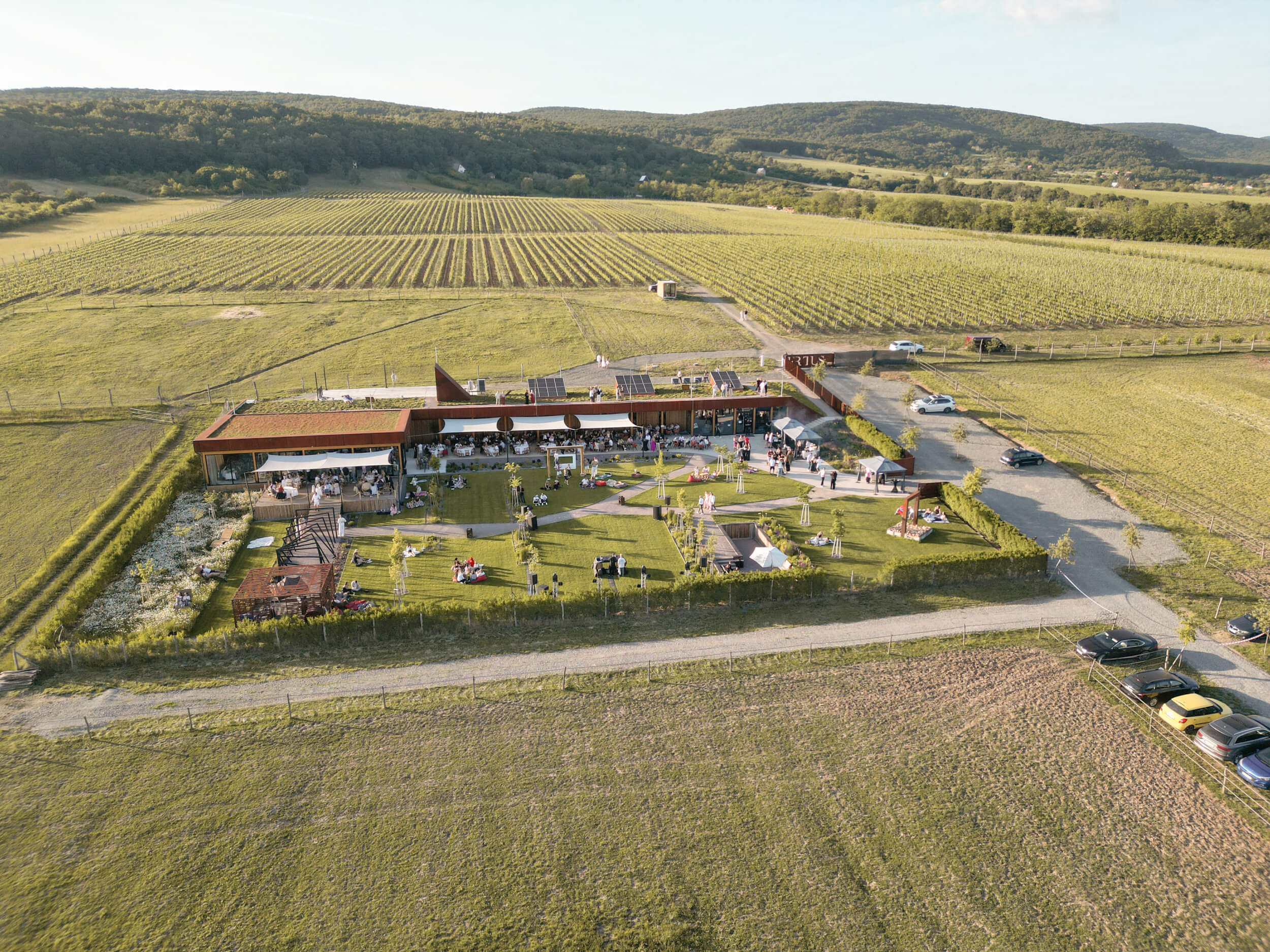 Areál vinohradov Frtus Winery